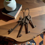 Antique cast iron key set with ring in rustic finish, displayed on wood desk with lifestyle decor