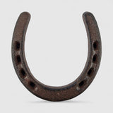 Dark cast iron horseshoe with weathered texture showing nail holes detail, lucky charm accent