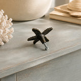 Back view of starfish drawer knob with mounting screw on distressed blue wood surface