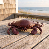 Crab Key Hider, Cast Iron for Coastal Garden, Porch or Patio, 6.8" GB78027 shot 4
