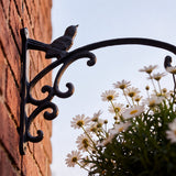 Bird Plant Hanger, Black Cast Iron, Garden Bracket, 12" GB78079 shot 3