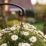 Bird Plant Hanger, Black Cast Iron, Garden Bracket, 12" GB78079 shot 4