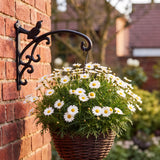 Bird Plant Hanger, Black Cast Iron, Garden Bracket, 12" GB78079 shot 5