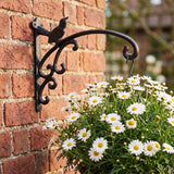 Bird Plant Hanger, Black Cast Iron, Garden Bracket, 12" GB78079 shot 1