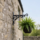Scroll Plant Hanger Bracket, Black Cast Iron, Garden Decor, 11.2" GB78080 shot 4