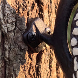 Painted cast iron woodpecker tree wall plaque for garden or patio, product view 6
