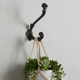Black cast iron hook with curved arms for organizing, holds plant basket on wall accent