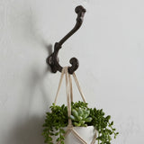 Black cast iron hook with curved arms for organizing, holds plant basket on wall accent