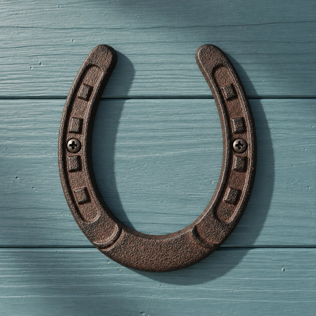 Large Horseshoe Wall Plaque, Cast Iron Western Ranch Decor, 6.3" 58132 shot 1