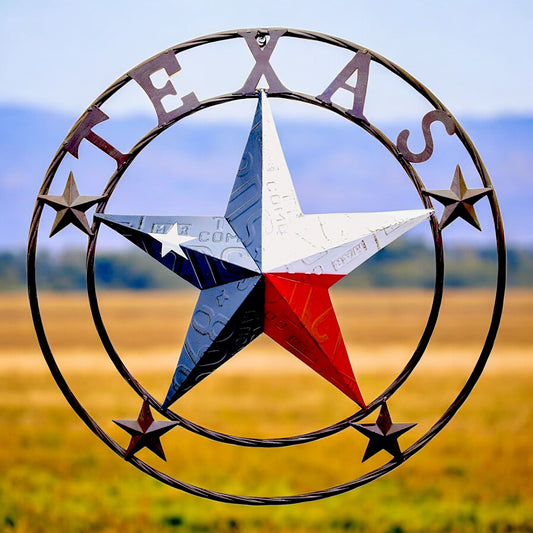 Metal License Plate Texas 24 inch Patriotic Wall Sign with Lone Star