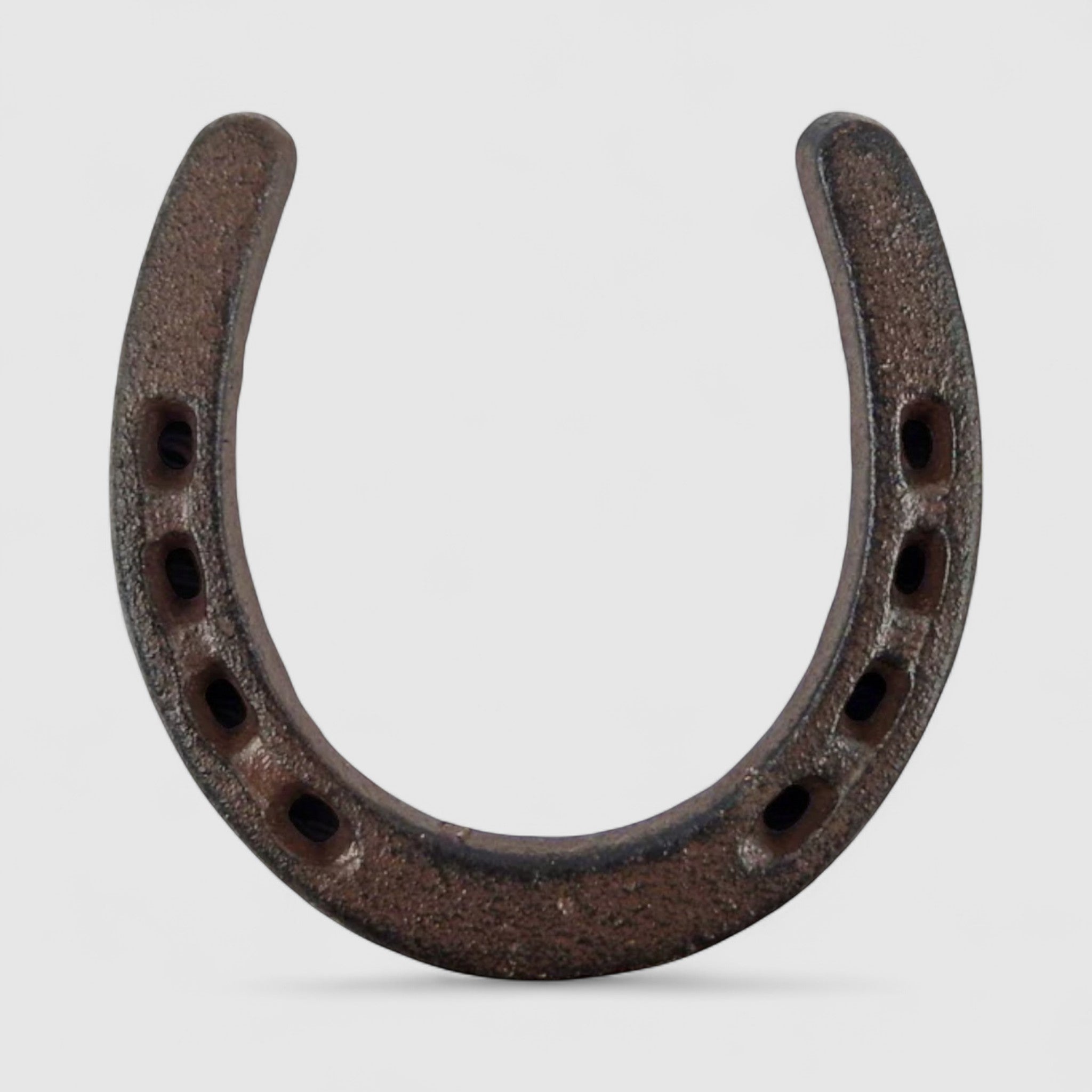 Dark cast iron horseshoe with weathered texture showing nail holes detail, lucky charm accent