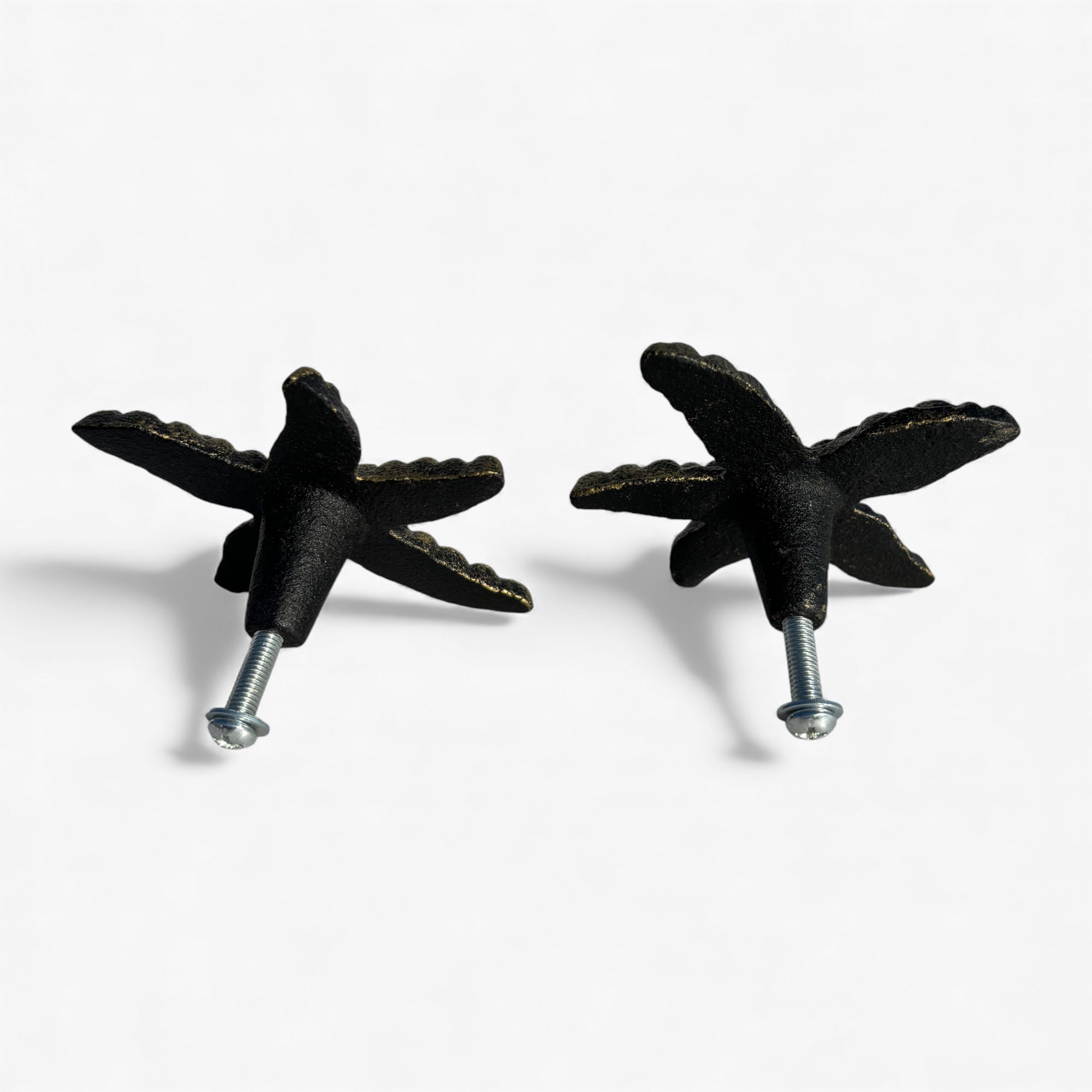 Brass starfish knob pair with metal screws, aged patina finish, back view