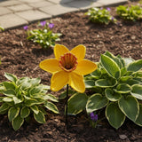 Cast iron daffodil flower garden stake with ruffled red crown center planted in garden bed