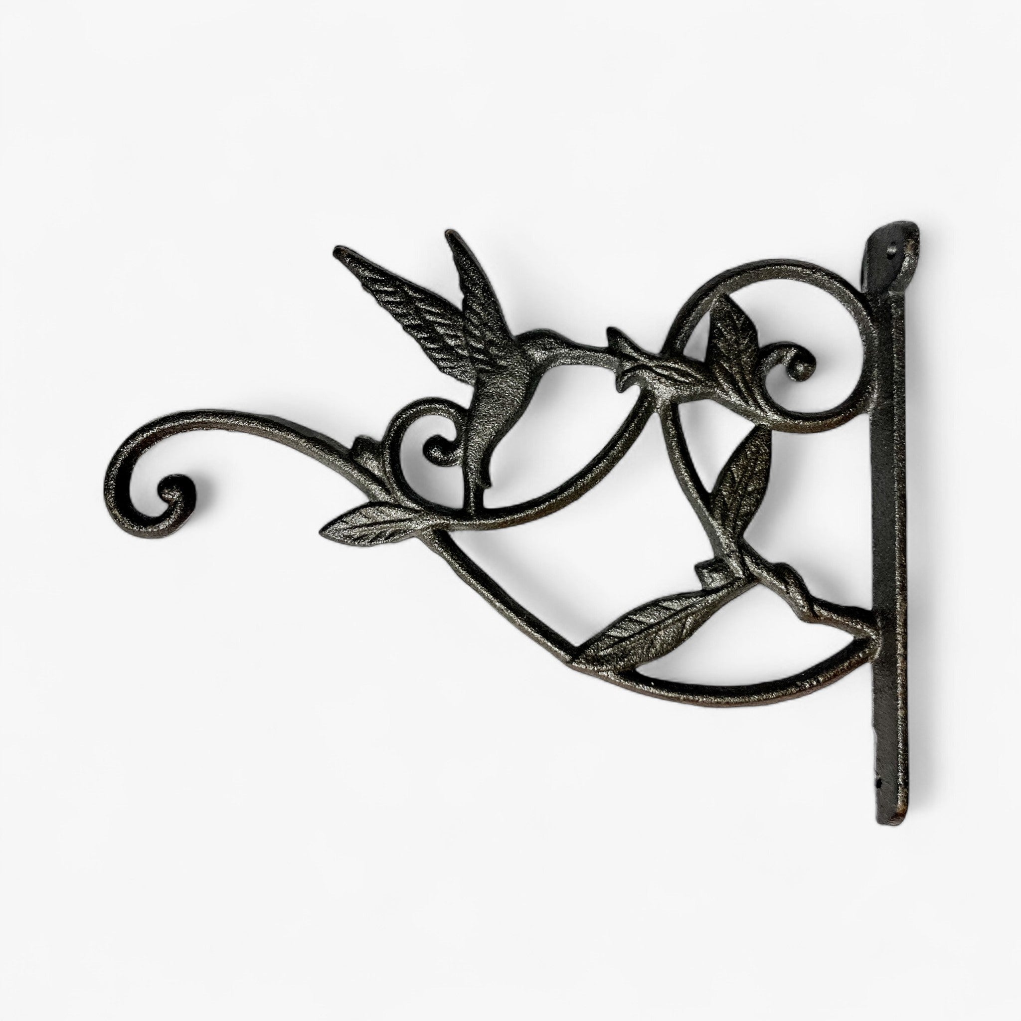 Black cast iron hummingbird wall bracket with ornate scrollwork and dual plant hooks