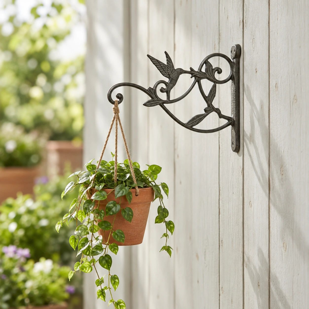 Hummingbird Plant Hanger, Cast Iron Wall Bracket, Natural Iron, 10.3" GB78025 shot 4