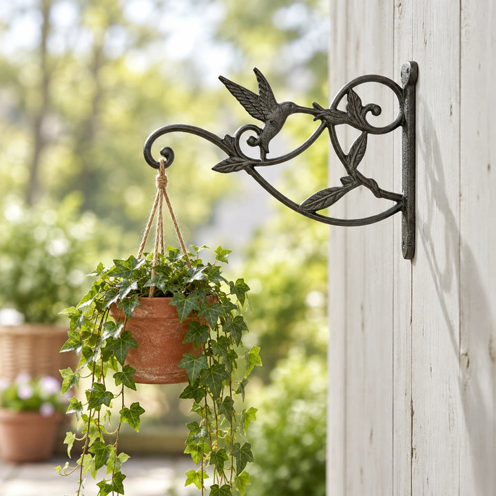 Hummingbird Plant Hanger, Cast Iron Wall Bracket, Natural Iron, 10.3" GB78025 shot 1