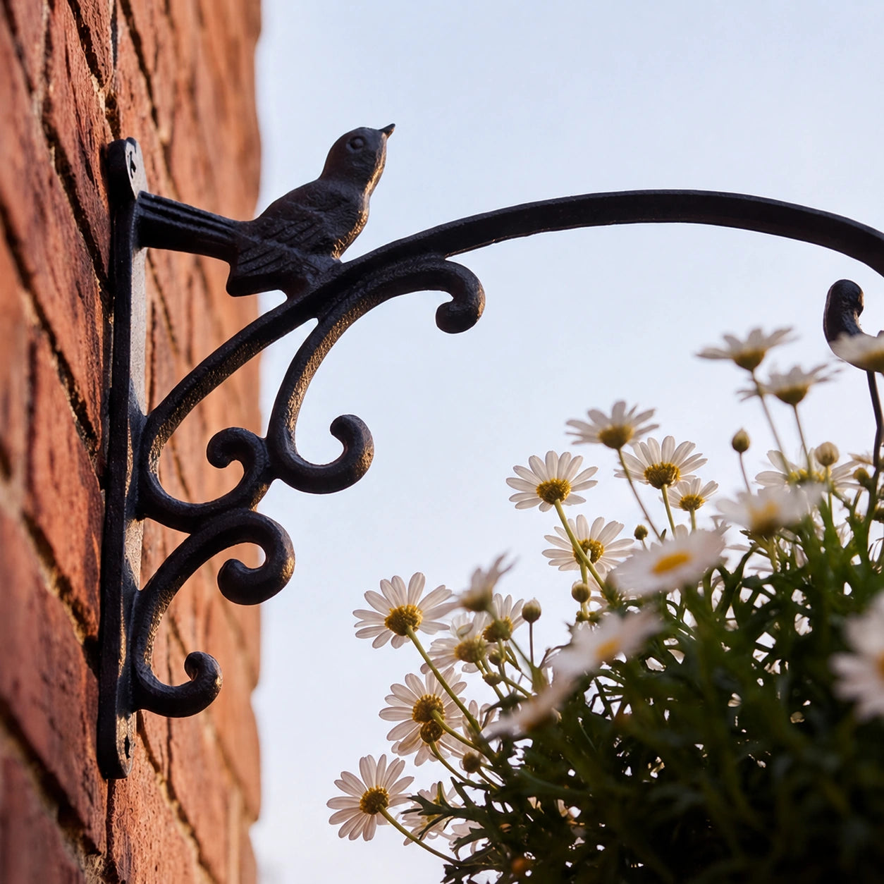 Bird Plant Hanger, Black Cast Iron, Garden Bracket, 12" GB78079 shot 3