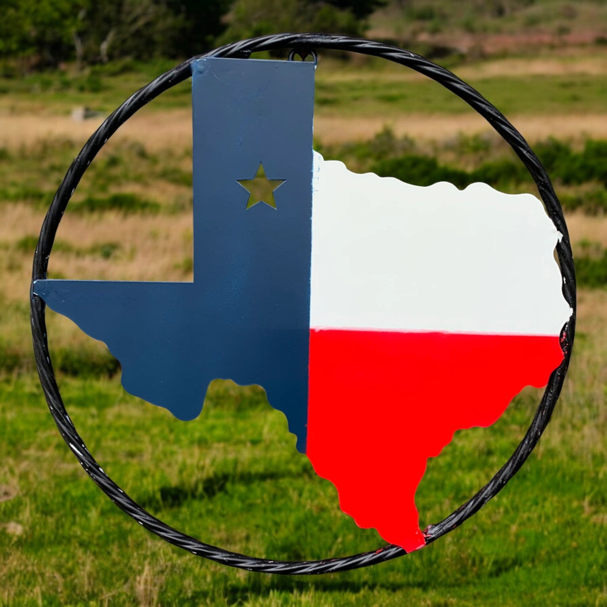 Texas metal sign with rope ring, blue and red patriotic state design in outdoor setting